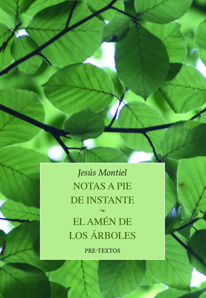 [9788419633255] Notas a pie de instante / El amén de los árboles