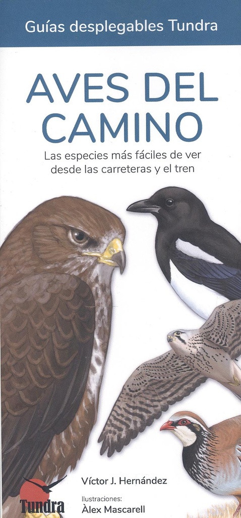 Aves del Camino