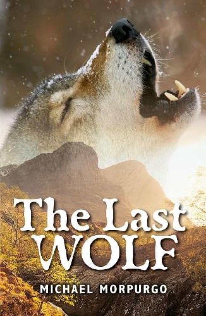 [9781382034074] ROLLERCOASTER: THE LAST WOLF