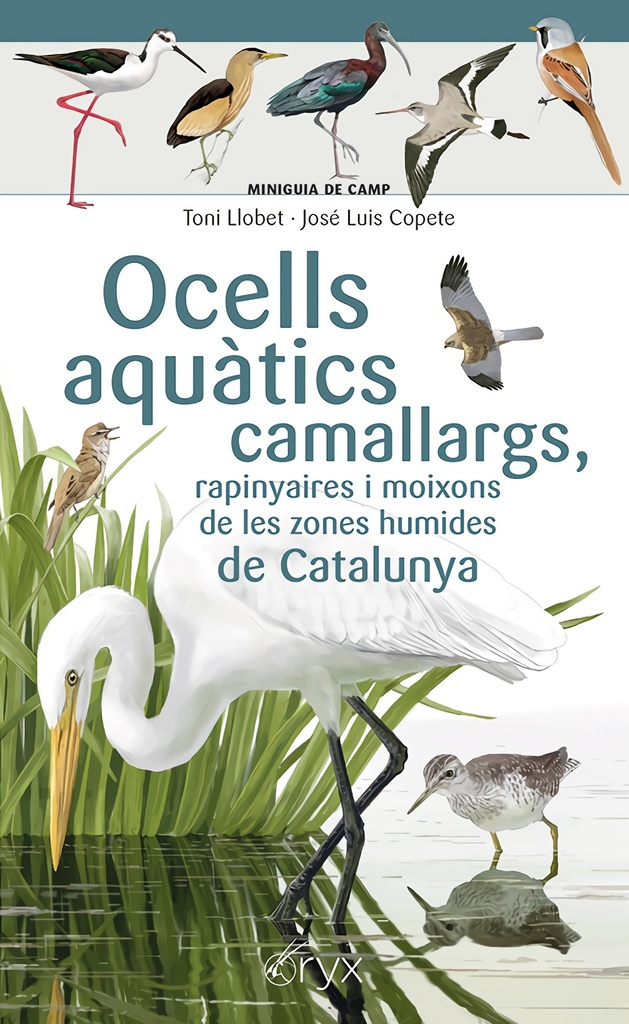 [9788413564746] Ocells aquàtics camallargs, rapinyaires i moixons de les zones humides de Catalunya