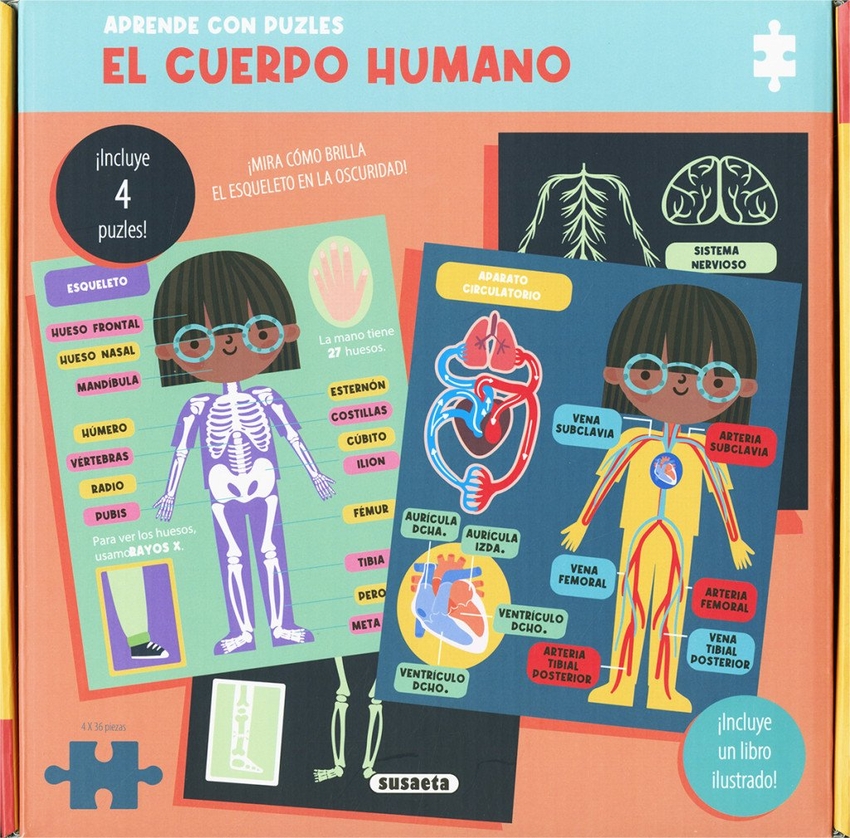 [9788410849167] El cuerpo humano